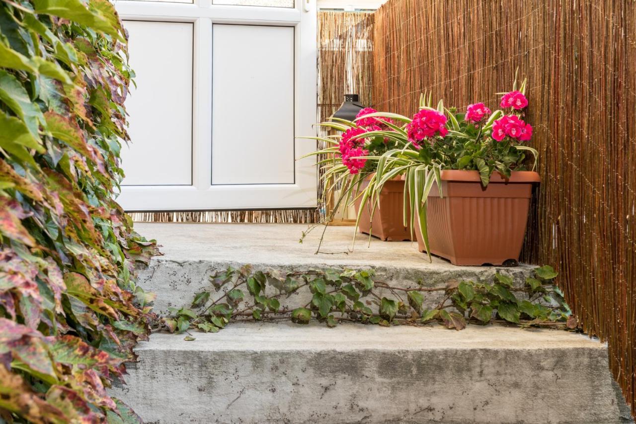 Cracow Best Location Apartment With Garden By Cozyplace كراكوفيا المظهر الخارجي الصورة