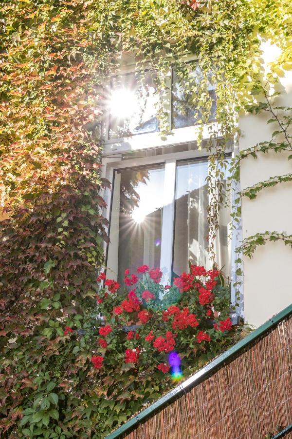 Cracow Best Location Apartment With Garden By Cozyplace كراكوفيا المظهر الخارجي الصورة